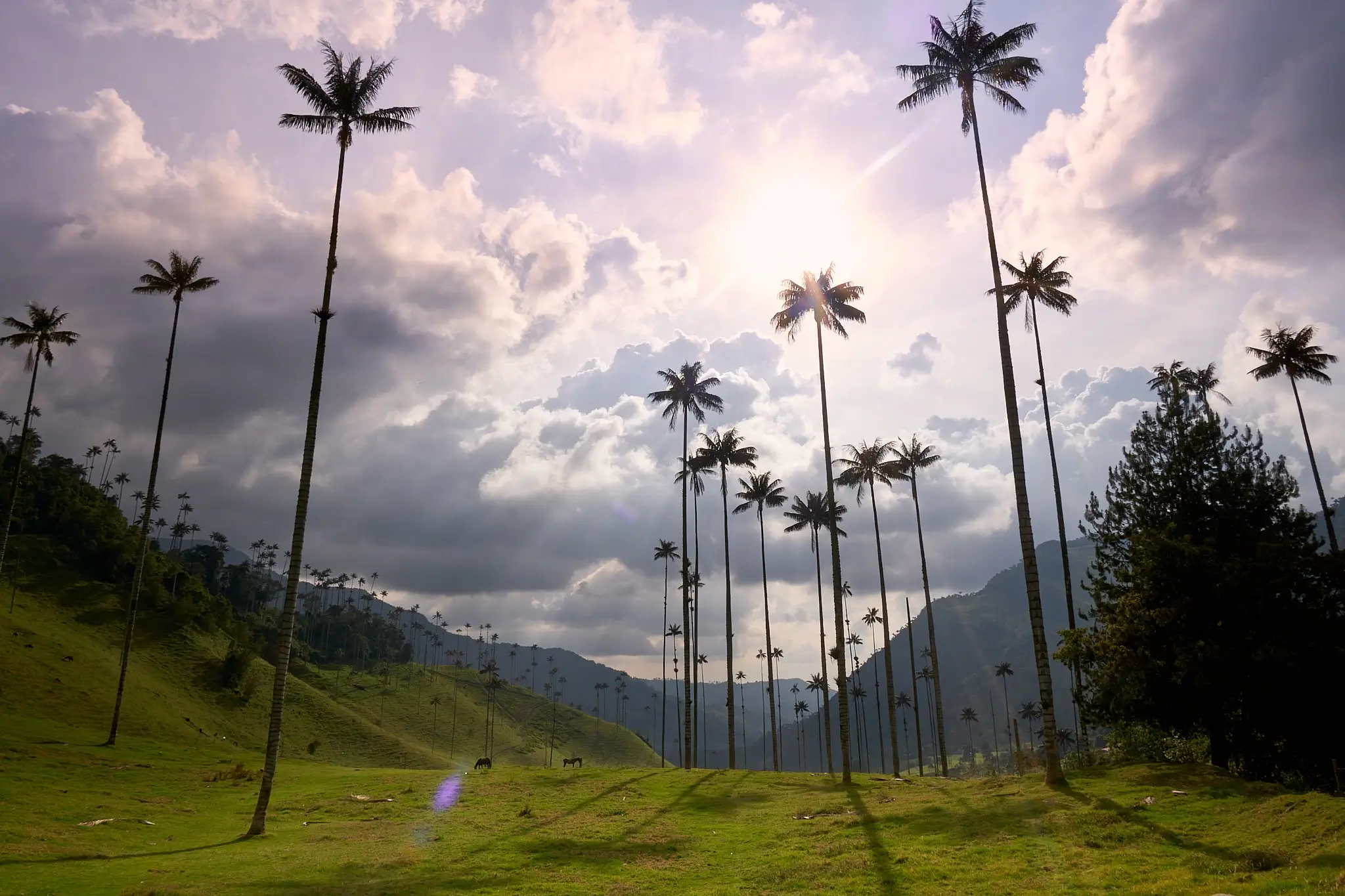 From Coffee Fincas to Wax Palms: Inside Colombia’s Most Spectacular Landscape