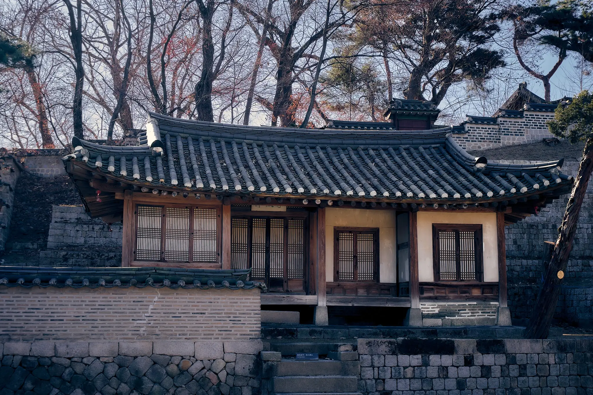 Matteo Franchi Foto - My Travel Diary Chronicles, travel to Seoul, Korea