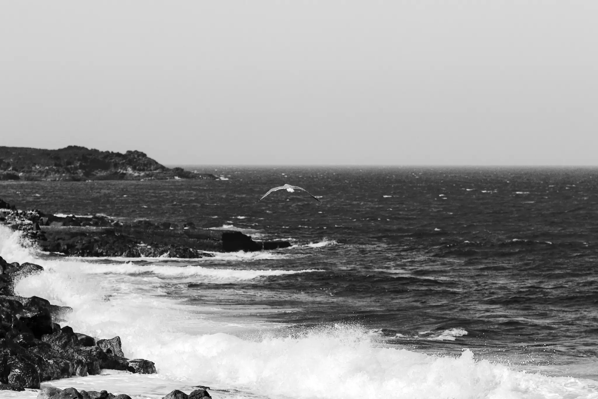 Matteo Franchi Foto - Memories from past holidays at the seaside
