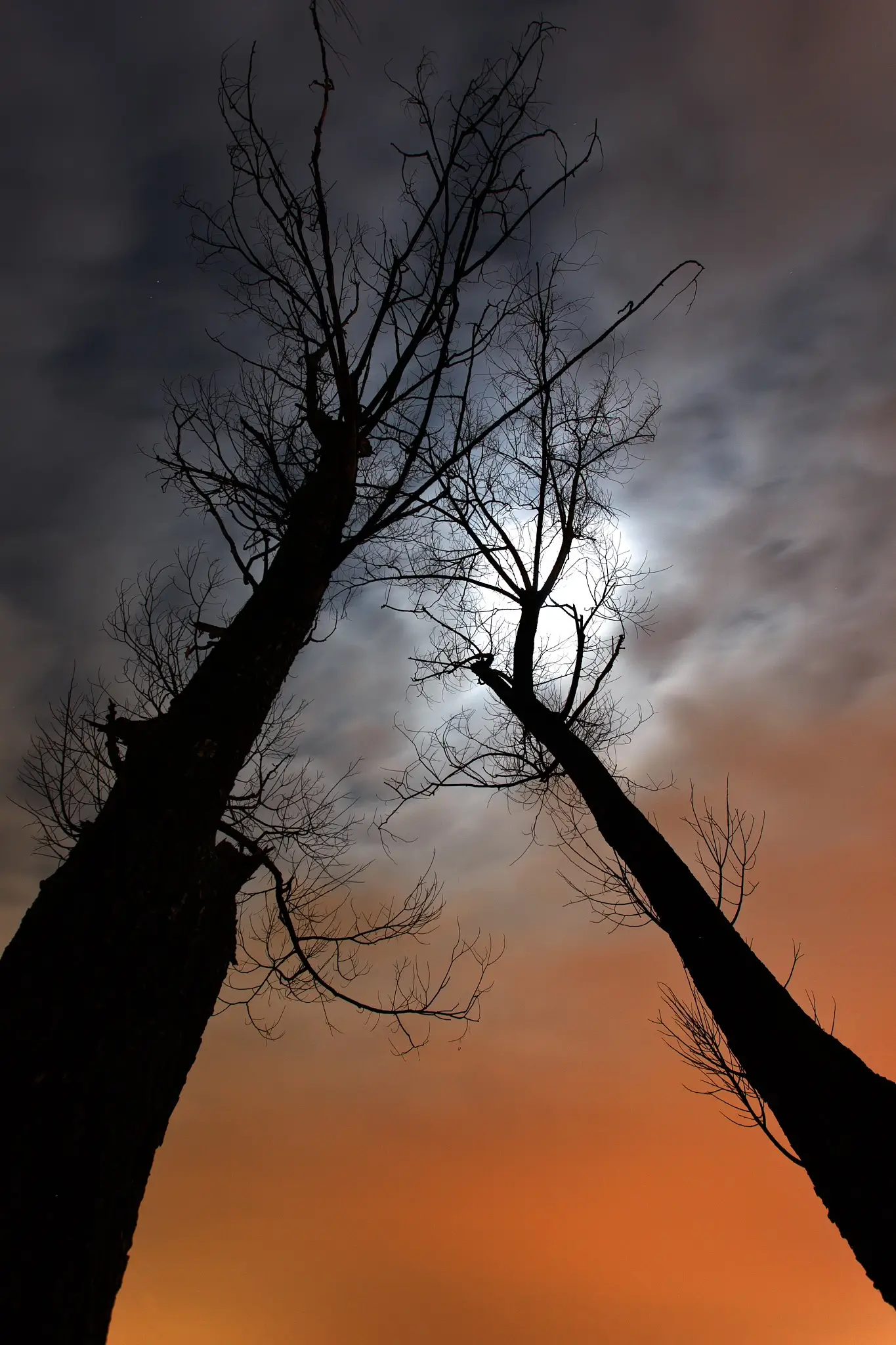 Night photography on the lake with eerie lights from thew city