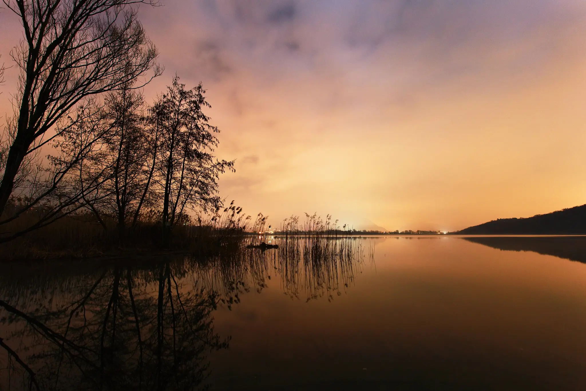 The Night the Lake Glowed with Light