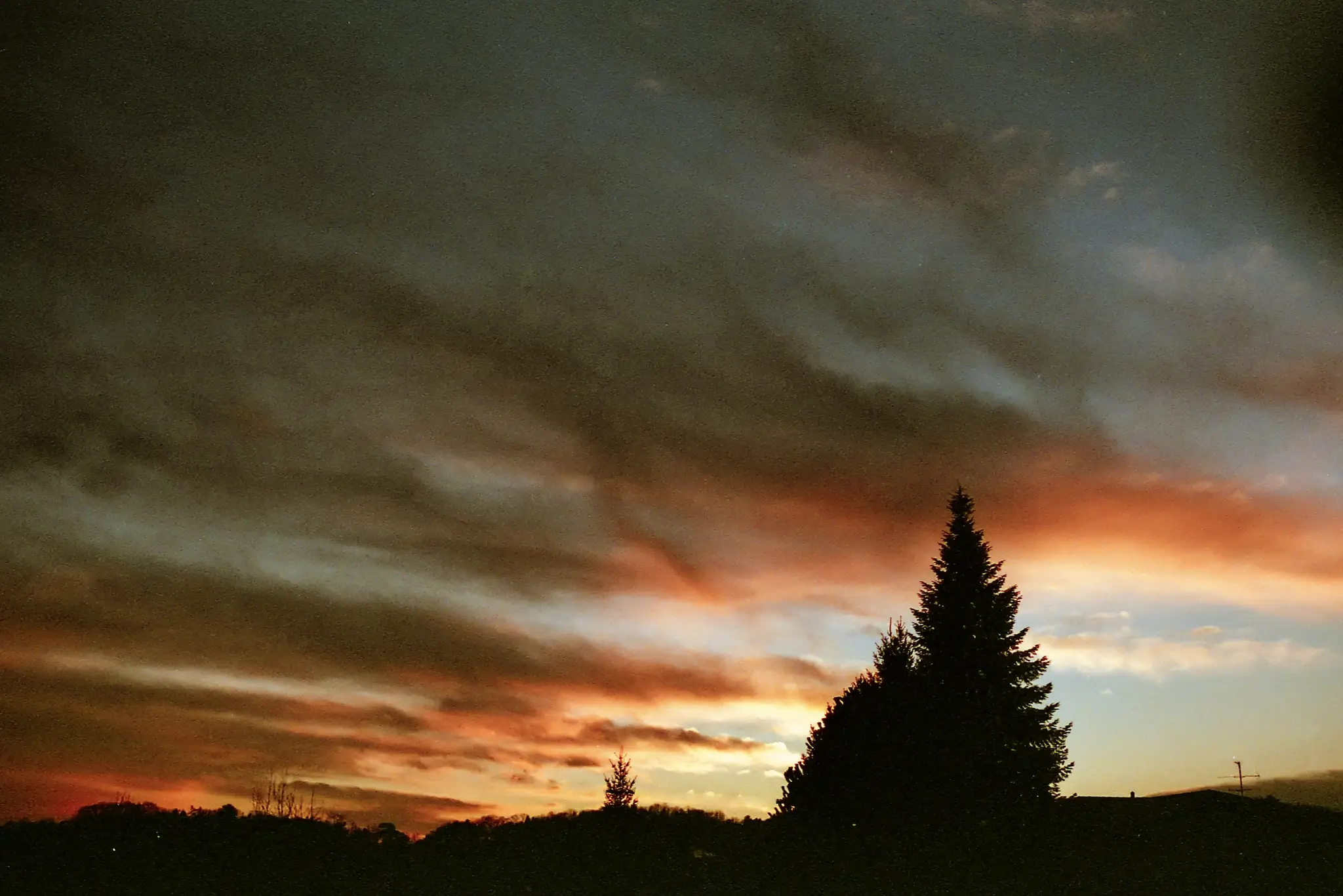 Winter sunset photographed on 35mm film during the Christmas holiday season