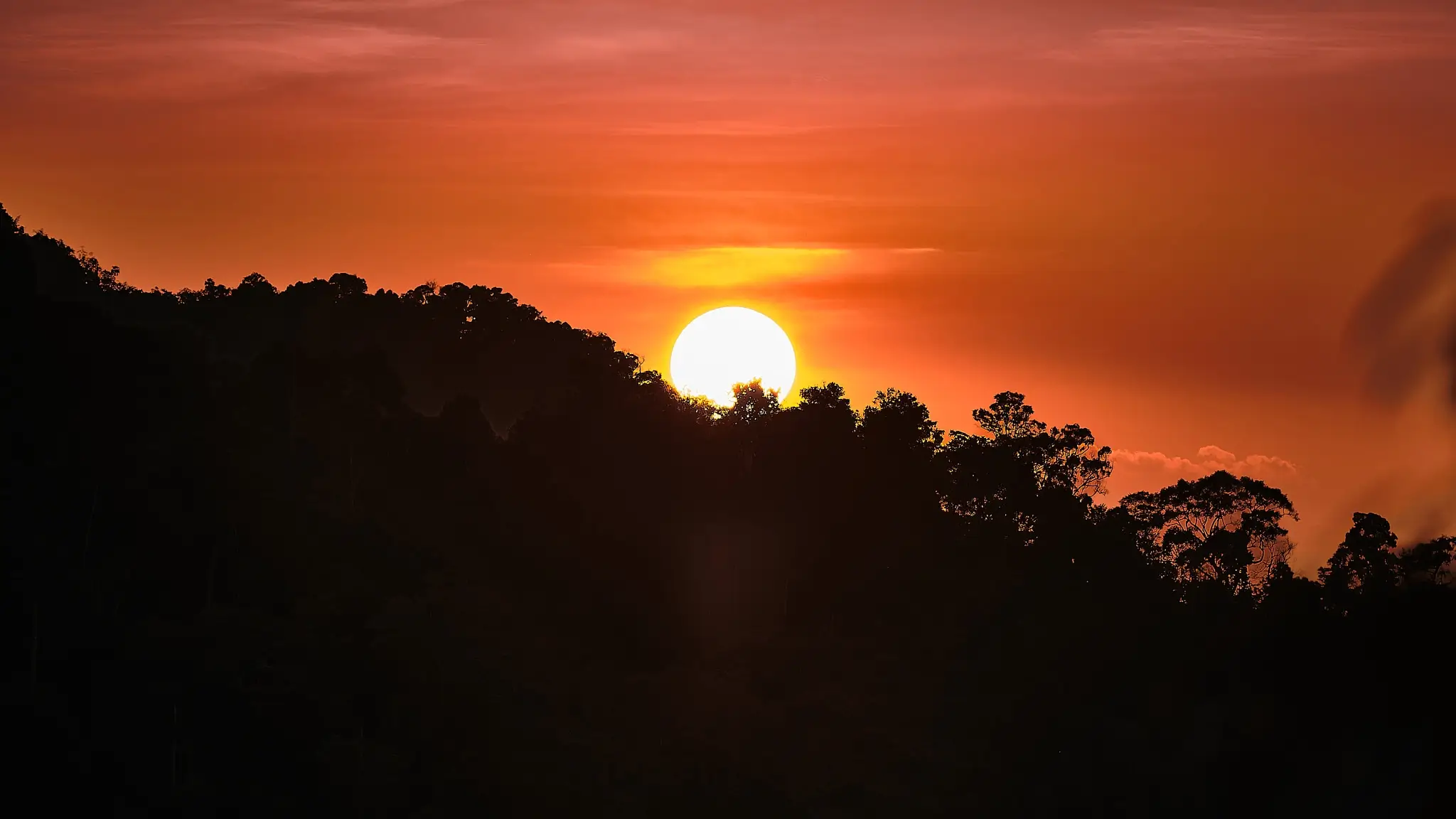 Nam Kan National Park – The Gibbon Experience