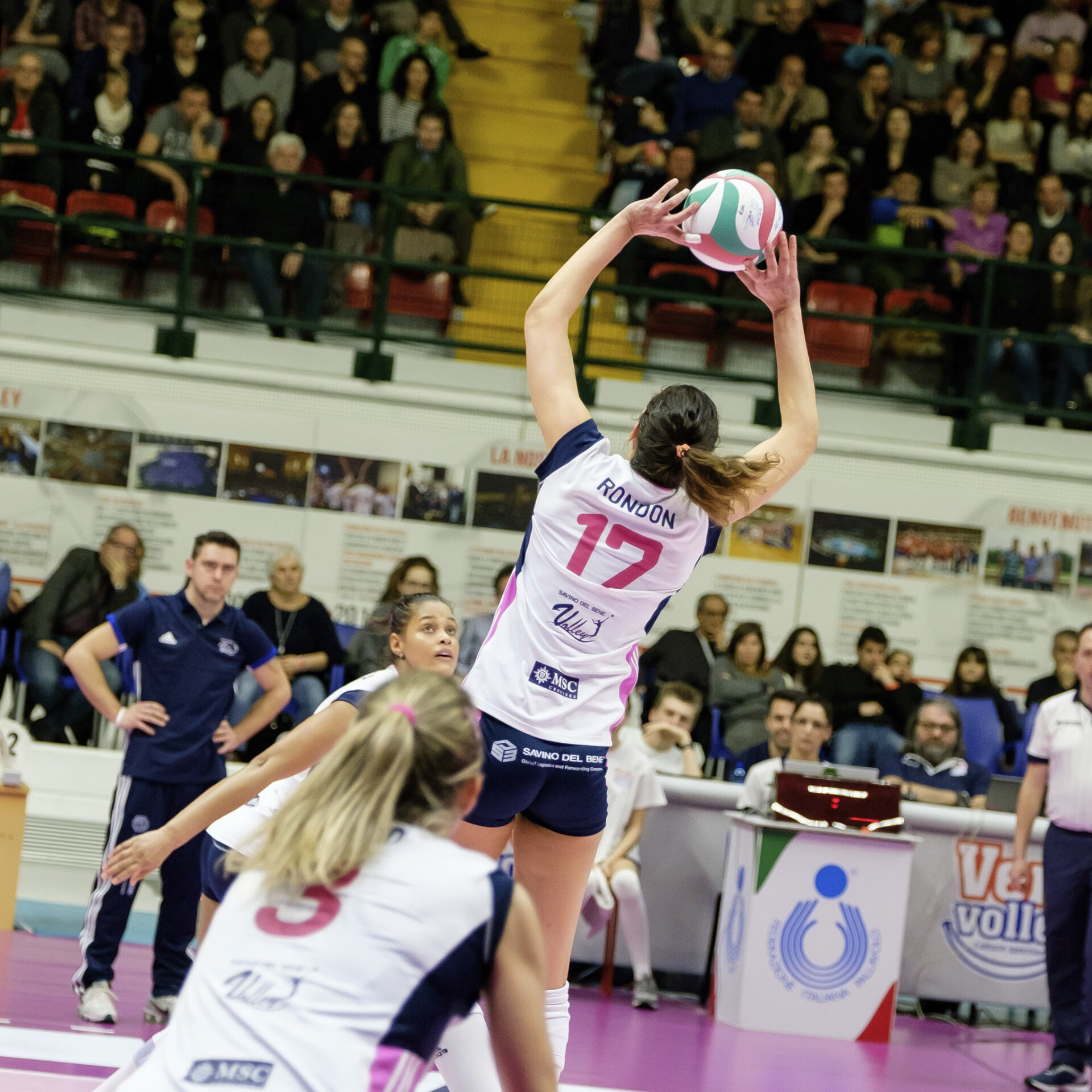Get Sport Media collaborazione fotografia sportiva volley Get Sport Media collaborazione fotografia sportiva volley
